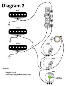 Custom Strat Wire Diagram