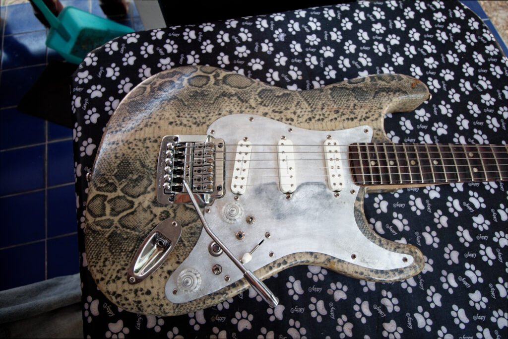 Scalloped Stratocaster The_Snake