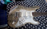 Scalloped Stratocaster The_Snake